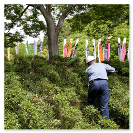 剪定と防犯砂利の施工風景