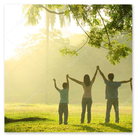 見通しが良くなった明るい庭